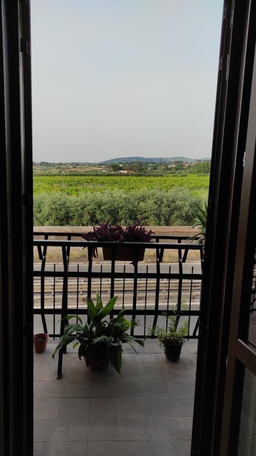 마리노 Wintage B&B 외부 사진